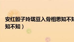 安红骰子玲珑豆入骨相思知不知（玲珑筛子安红豆入骨相思知不知）