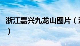 浙江嘉兴九龙山图片（浙江嘉兴九龙山风景区）