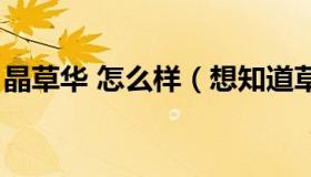 晶草华 怎么样（想知道草晶华真的那么好吗）