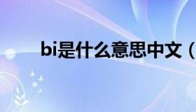 bi是什么意思中文（BI是什么意思）