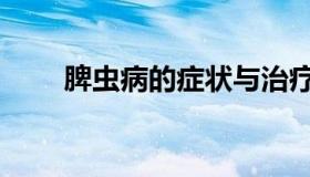 脾虫病的症状与治疗（脾虫的样子）