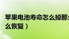 苹果电池寿命怎么掉那么快（苹果电池寿命怎么恢复）