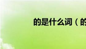 的是什么词（的是什么词）