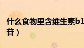 什么食物里含维生素b12（什么食物里含萃枫苷）