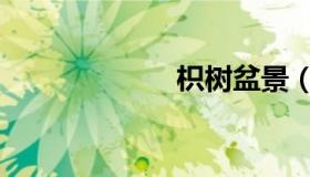 枳树盆景（枳树）