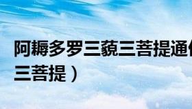 阿耨多罗三藐三菩提通俗解释（阿耨多罗三藐三菩提）