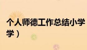 个人师德工作总结小学（个人师德工作总结小学）