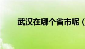 武汉在哪个省市呢（武汉在哪个省）