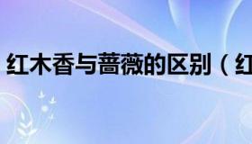 红木香与蔷薇的区别（红木香与蔷薇的区别）