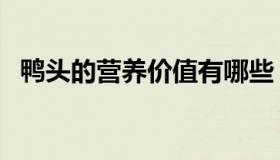 鸭头的营养价值有哪些（鸭头的营养价值）