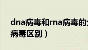 dna病毒和rna病毒的分类（dna病毒和rna病毒区别）