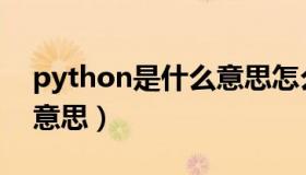 python是什么意思怎么读（python是什么意思）