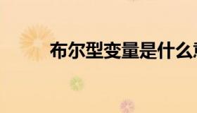 布尔型变量是什么意思（布尔型）