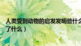 人类受到动物的启发发明些什么（人类受到动物的启发发明了什么）