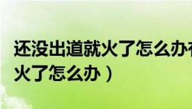 还没出道就火了怎么办有声小说（还没出道就火了怎么办）