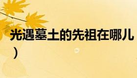 光遇墓土的先祖在哪儿（光遇墓土先祖在哪里）