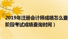 2019年注册会计师成绩怎么查询（2019年注册会计师综合阶段考试成绩查询时间）