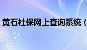 黄石社保网上查询系统（黄石社保查询系统）