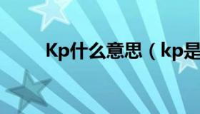 Kp什么意思（kp是什么意思污的）
