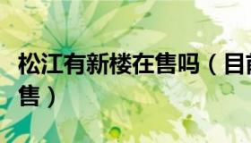 松江有新楼在售吗（目前松江有哪些新楼盘在售）