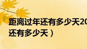 距离过年还有多少天2022倒计时（距离过年还有多少天）