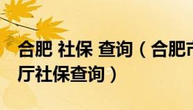 合肥 社保 查询（合肥市人力资源和社会保障厅社保查询）