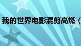 我的世界电影混剪高燃（我的世界电影大全）