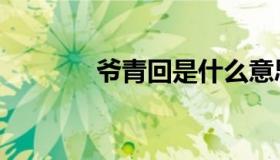 爷青回是什么意思（爷青回）