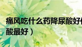 痛风吃什么药降尿酸好使（痛风吃什么药降尿酸最好）
