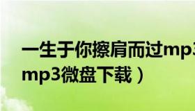 一生于你擦肩而过mp3（一生与你擦肩而过mp3微盘下载）