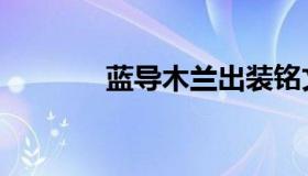 蓝导木兰出装铭文（蓝导航）