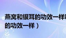 燕窝和银耳的功效一样吗怎么煮（燕窝和银耳的功效一样）