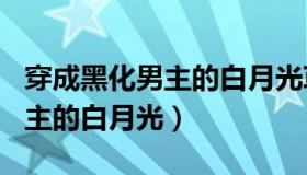 穿成黑化男主的白月光草莓酱w（穿成黑化男主的白月光）