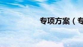 专项方案（专项方案）