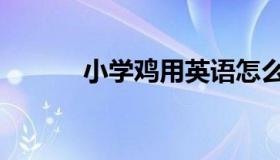 小学鸡用英语怎么说（小学鸡）