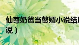 仙尊奶爸当赘婿小说结局（仙尊奶爸当赘婿小说）