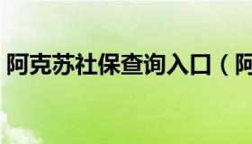 阿克苏社保查询入口（阿克苏社保查询入口）