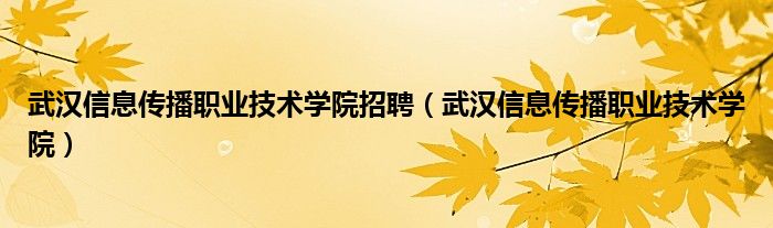 武汉信息传播职业学院专业_武汉传播信息职业技术学院招聘_武汉信息传播职业技术学院