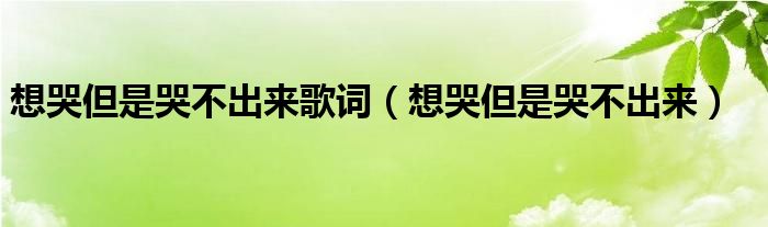 想哭但是哭不出来歌词（想哭但是哭不出来）