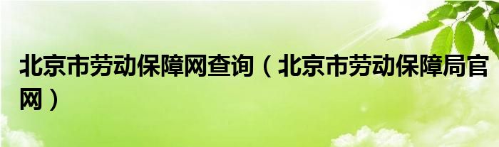 北京市社会保险网_中国桥牌网2014北京市中小学生_北京一老一小保险官网
