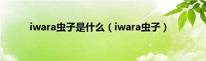 iwara虫子是什么（iwara虫子）