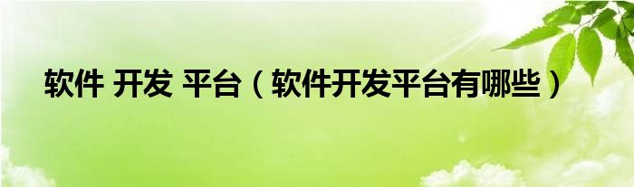 软件 开发 平台（软件开发平台有哪些）