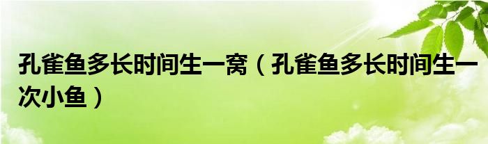 天使鱼生鱼还是生卵_天使鱼生长速度_天使鱼多久生