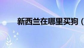 新西兰在哪里买狗（新西兰在哪里）