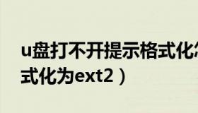 u盘打不开提示格式化怎么办（如何将u盘格式化为ext2）