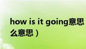 how is it going意思（how is it going什么意思）