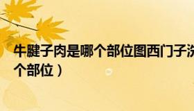 牛腱子肉是哪个部位图西门子洗衣机门掉了（牛腱子肉是哪个部位）