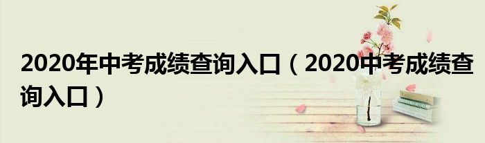 南阳中考查分网站登录_南阳教育网中考成绩查询_南阳中考查询成绩平台