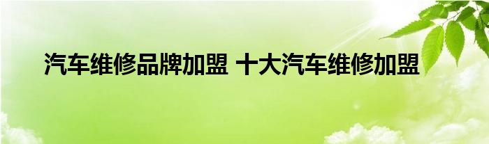 汽车维修品牌加盟 十大汽车维修加盟