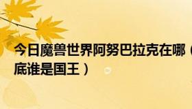 今日魔兽世界阿努巴拉克在哪（阿努巴拉克和阿努布雷坎到底谁是国王）